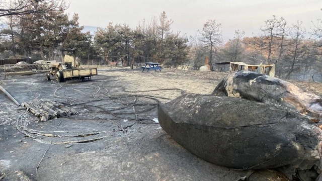 Çanakkale'deki orman yangınında acı tablo! Alevlerin sardığı köyden geriye bu kareler kaldı