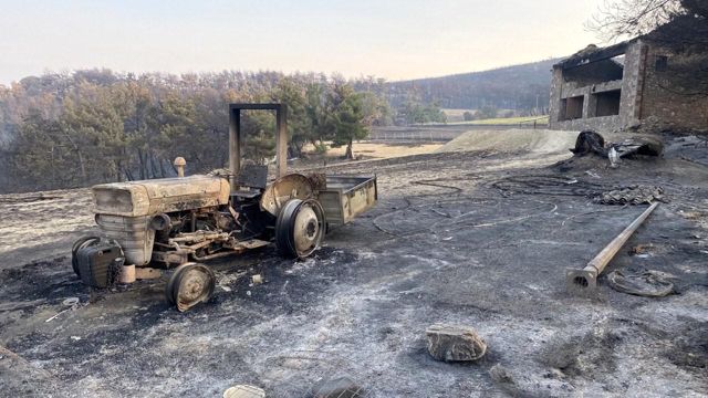 Çanakkale'deki orman yangınında acı tablo! Alevlerin sardığı köyden geriye bu kareler kaldı