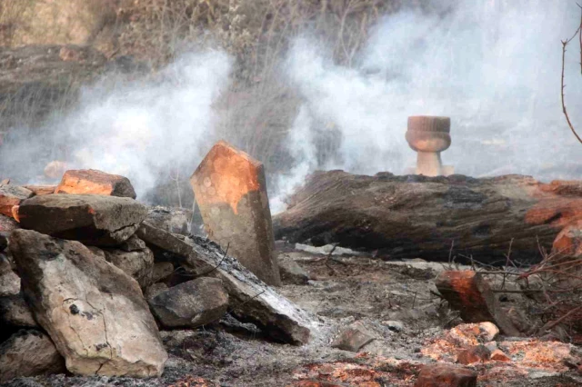 Çanakkale'deki orman yangınında acı tablo! Alevlerin sardığı köyden geriye bu kareler kaldı