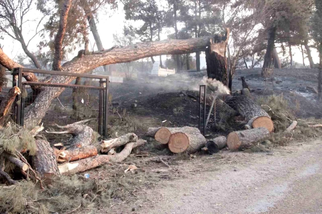 Çanakkale'deki orman yangınında acı tablo! Alevlerin sardığı köyden geriye bu kareler kaldı