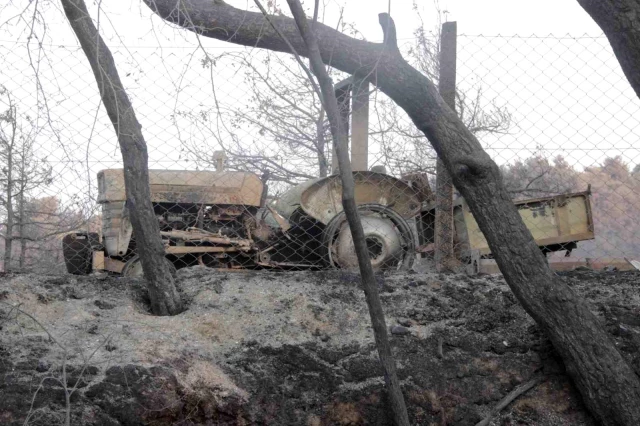 Çanakkale'deki orman yangınında acı tablo! Alevlerin sardığı köyden geriye bu kareler kaldı