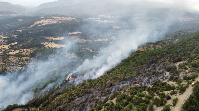 Antalya, Eskişehir, Bolu ve Bingöl'de peş peşe orman yangını! Alevlere müdahale devam ediyor