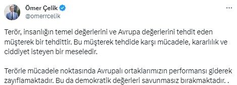 PKK yandaşlarının AİHM'deki skandal eylemine AK Partili Çelik'ten sert tepki: Terörle mücadelede Avrupalı ortaklarımızın performansı zayıflıyor