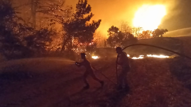 Çanakkale Belediye Başkanı Ülgür Gökhan'ın, yangının çıktığı gün yurt dışına tatile gittiği iddiası gündemi sarstı