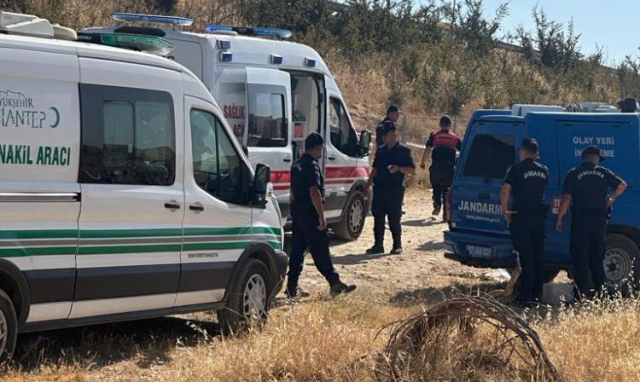 Gaziantep'te bir arazide köpekler tarafından parçalanmış bebek cesedi bulundu