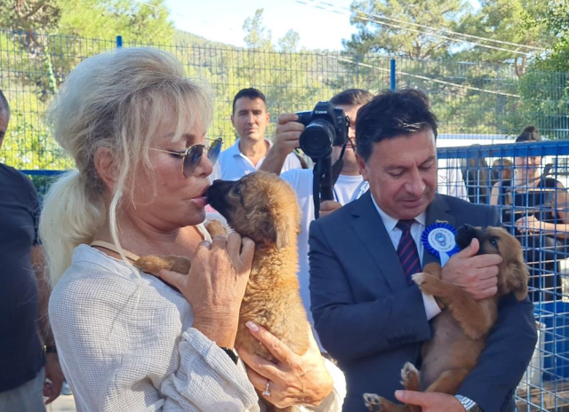 Hayvan barınağını ziyaret eden Ajda Pekkan, ailelere seslendi: Çocuklar hayvanları oyuncak gözüyle görüyorlar