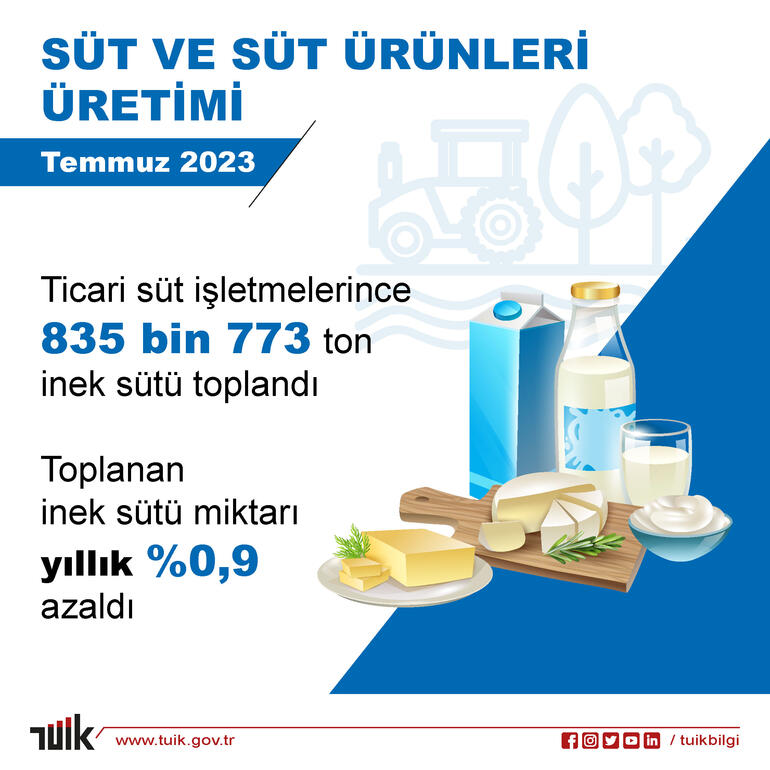 TÜİK: Yumurta ve tavuk eti üretimi arttı, içme sütü üretimi azaldı