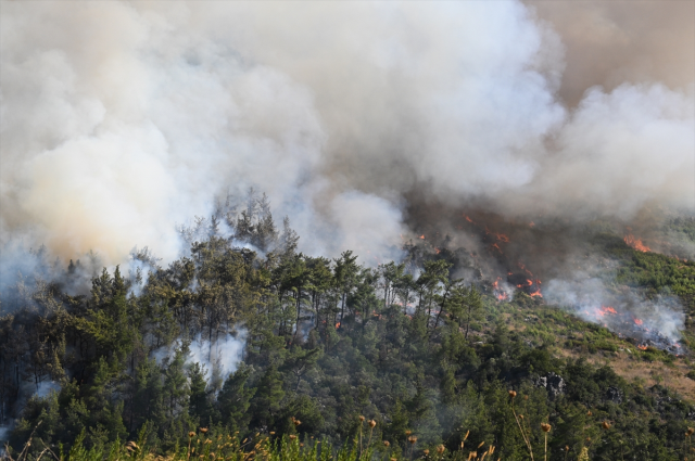 İzmir ve Bolu'daki orman yangınına havadan ve karadan müdahale devam ediyor