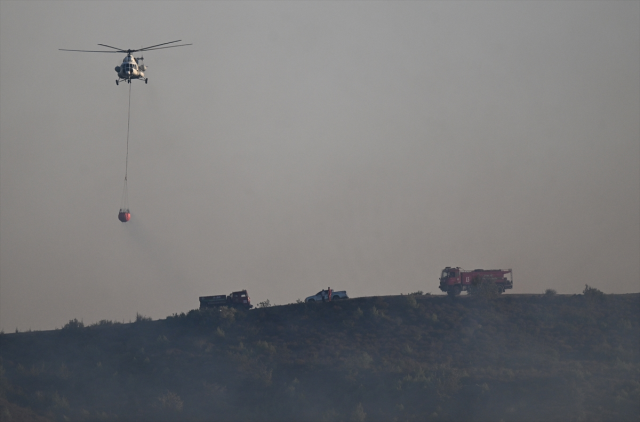 İzmir ve Bolu'daki orman yangınına havadan ve karadan müdahale devam ediyor