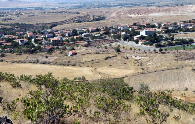 Türkülere konu olan 'Gesi Bağları' şehirleşme nedeniyle yok oluyor