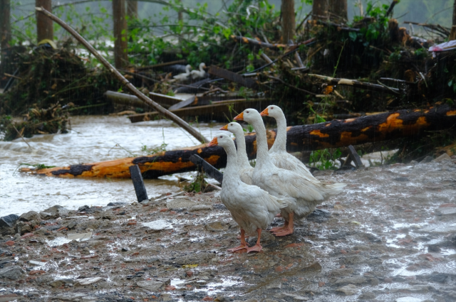 İstanbul ve Kırklareli'ndeki sel felaketinde son durum! 7 kişi hayatını kaybetti