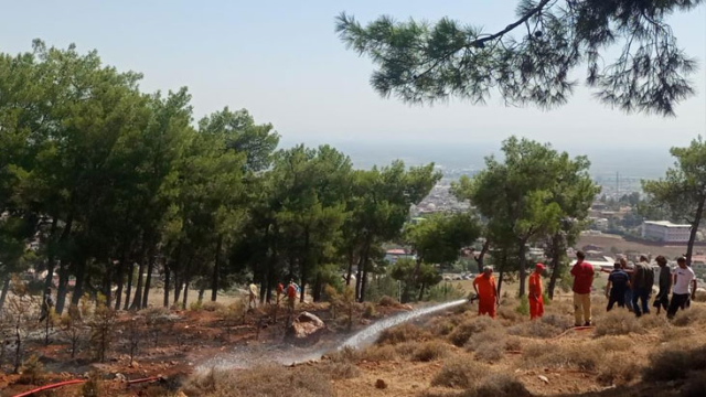 Ankara, İzmir, Adana ve Bolu'da orman yangını çıktı: Zamana karşı mücadele başladı