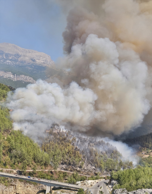 Antalya'da orman yangını! Alevler rüzgarın etkisiyle büyüdü, ekipler müdahale ediyor