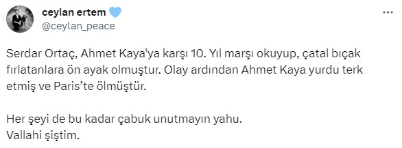 Ceylan Ertem, Serdar Ortaç'ın albümünde yer alan ünlü isimleri hedef aldı: Her şeyi ne çabuk unuttunuz?