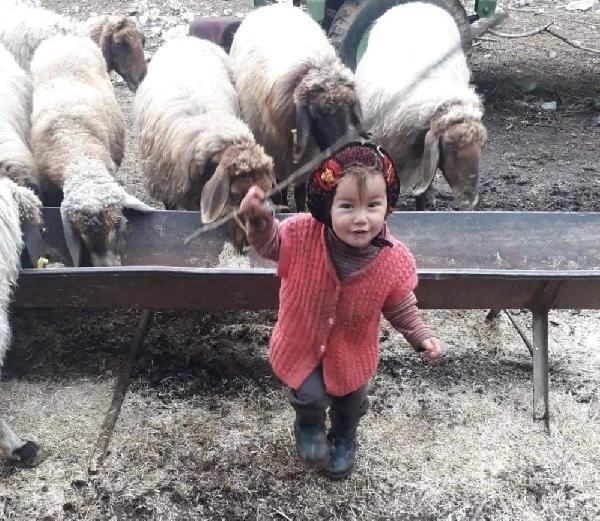 Müslüme'nin ölümüyle ilgili davada mütalaa açıklandı! Dedesi cinayet ve cinsel istismardan yargılanacak