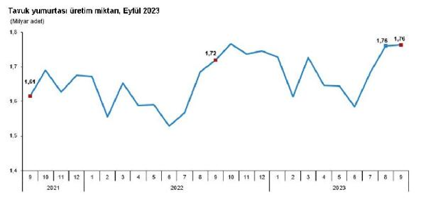 TÜİK: Yumurta, peynir, içme sütü üretimi arttı, tavuk eti üretimi azaldı