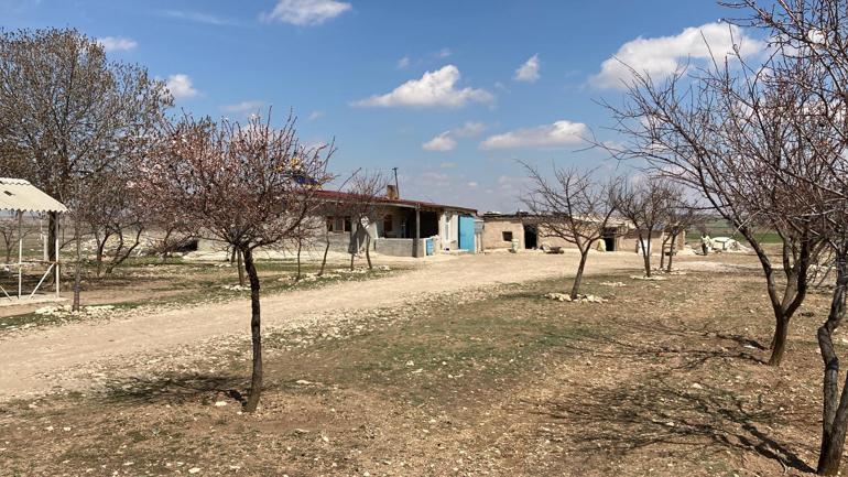 3 yaşındaki kızını öldüren anne için 3'üncü 'akıl sağlığı' raporu istendi