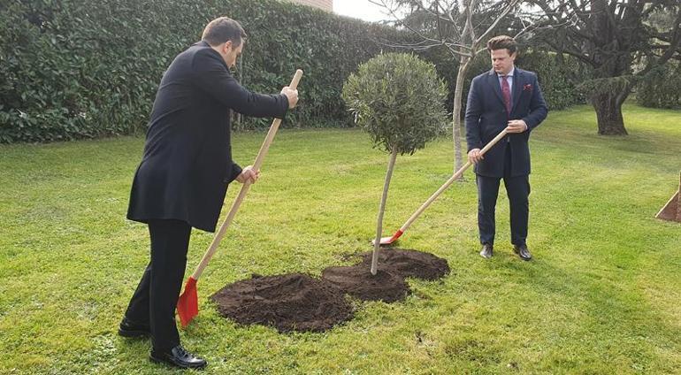 Vatikan’da 6 Şubat depremlerinde ölenlerin anısına zeytin ağacı dikildi