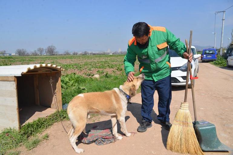 Sokak köpeğini süpürgesi ile kaşıyıp sevdi; temizlik personelinin o anları kamerada