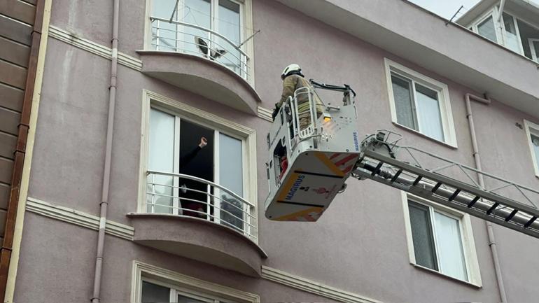 Maltepe'de 4 katlı binada yangın; dumandan etkilenen kedi kurtarılamadı