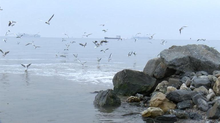 Beylikdüzü'nde 'kanalizasyon suyu denize akıyor' iddiası