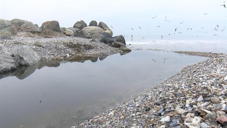 Beylikdüzü'nde 'kanalizasyon suyu denize akıyor' iddiası