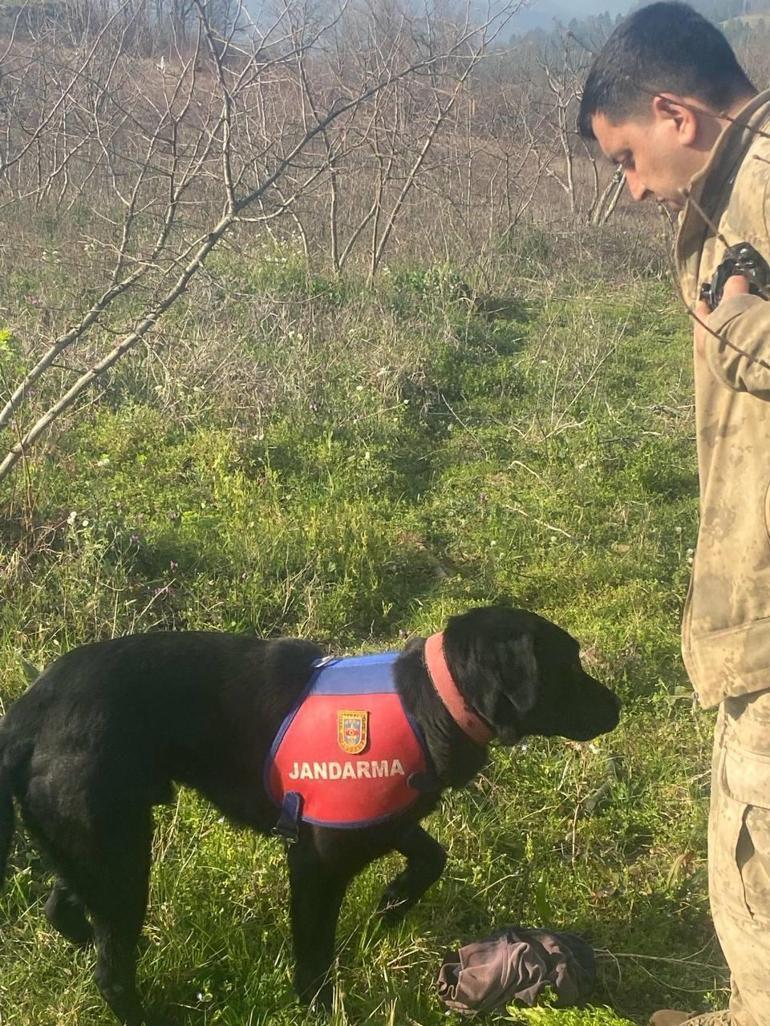 İz takip köpeği 'Voltaj', kaybolan engelliyi ormanda buldu