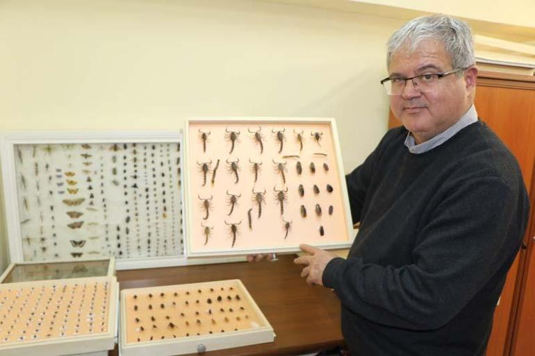 Prof. Dr. Akça'dan havaların ısındığı nisan ve mayıs ayları için 'vektör' uyarısı