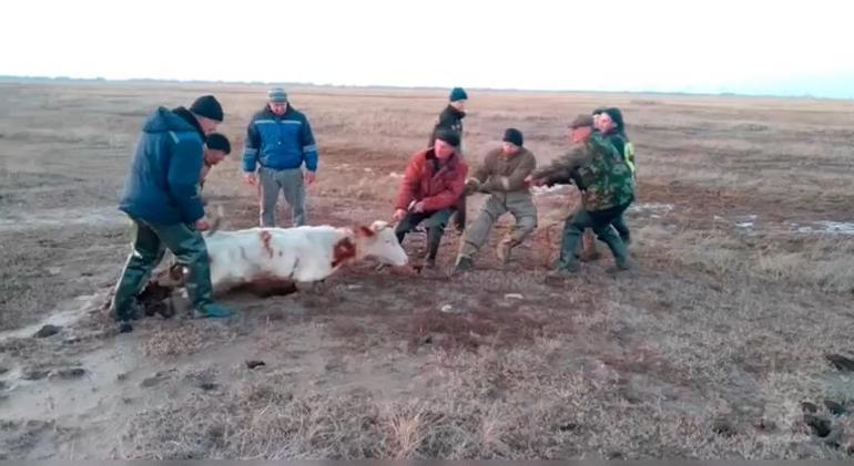 Rusya’da Ural Nehri’nin suları tehlikeli seviyeye yükseldi