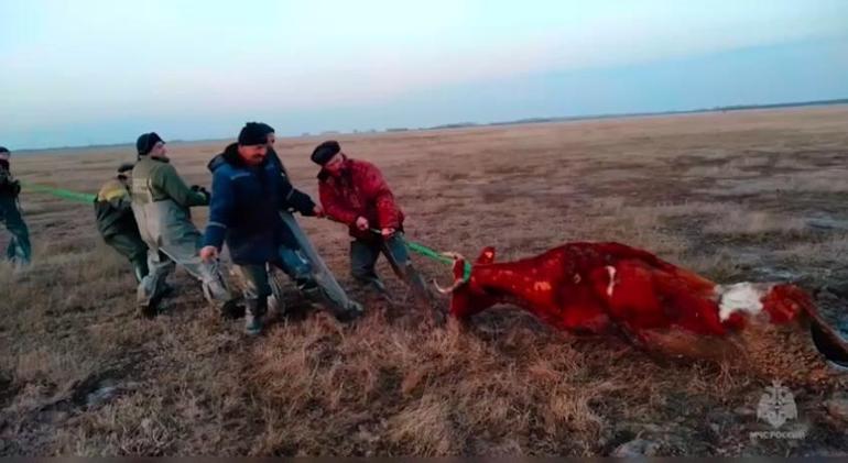 Rusya’da Ural Nehri’nin suları tehlikeli seviyeye yükseldi