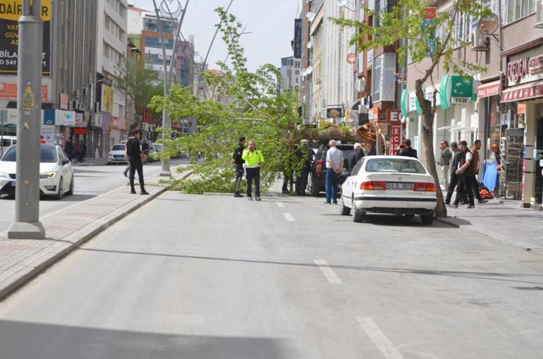 Konya'da fırtına ağaçları devirdi, baz istasyonu otomobilin üstüne düştü