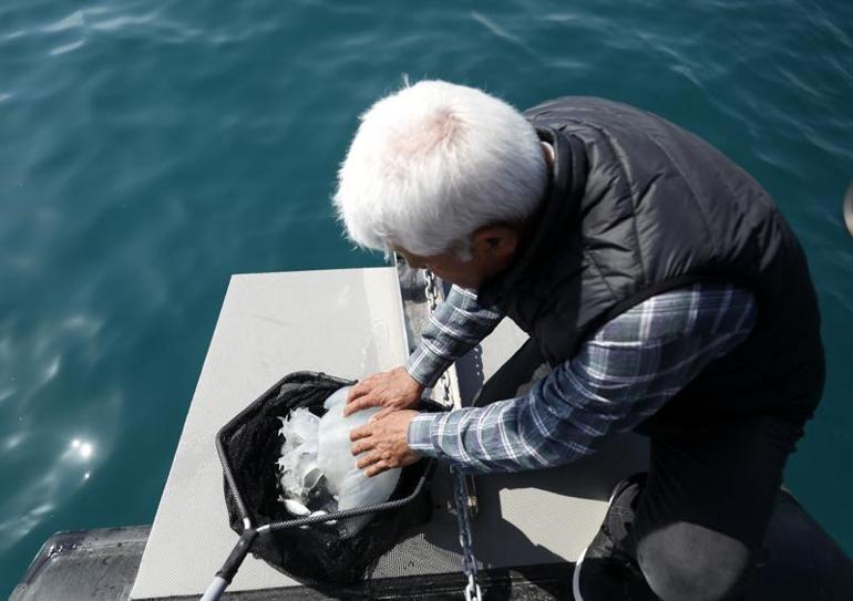 Antalya açıklarında denizanası ve sarı birikinti incelemesi