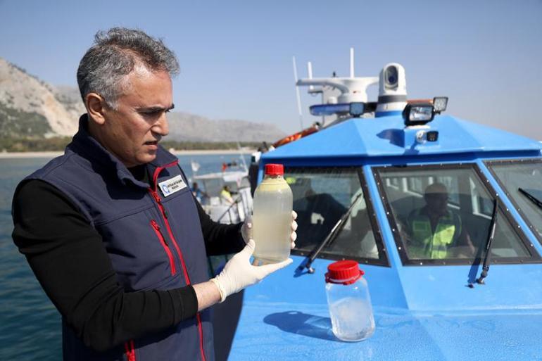 Antalya açıklarında denizanası ve sarı birikinti incelemesi