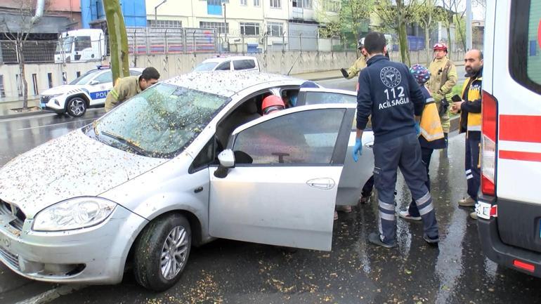 Başakşehir'de kaza sonrası ağaçtan düşen yavru kargalara itfaiyeden yardım eli