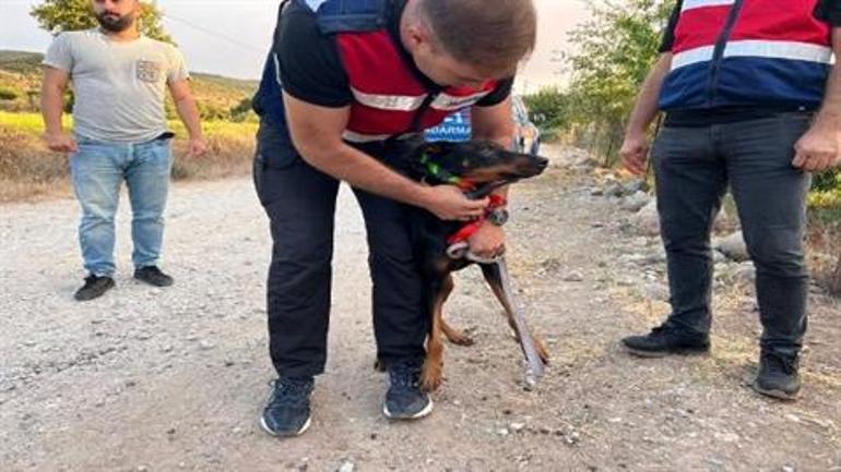 312 gündür haber alınamayan Korhan Berzeg'in kimlik ve kredi kartı ile kemik parçaları bulundu