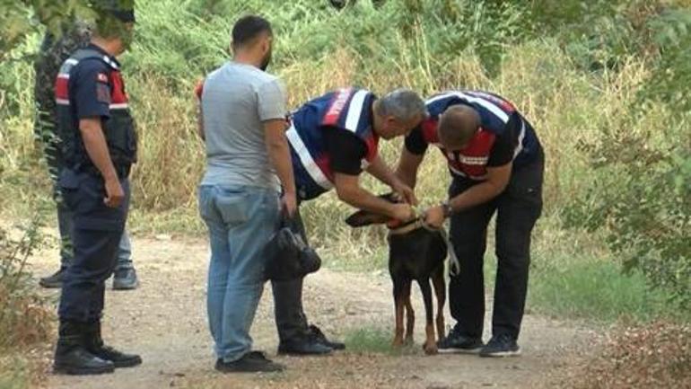 312 gündür haber alınamayan Korhan Berzeg'in kimlik ve kredi kartı ile kemik parçaları bulundu