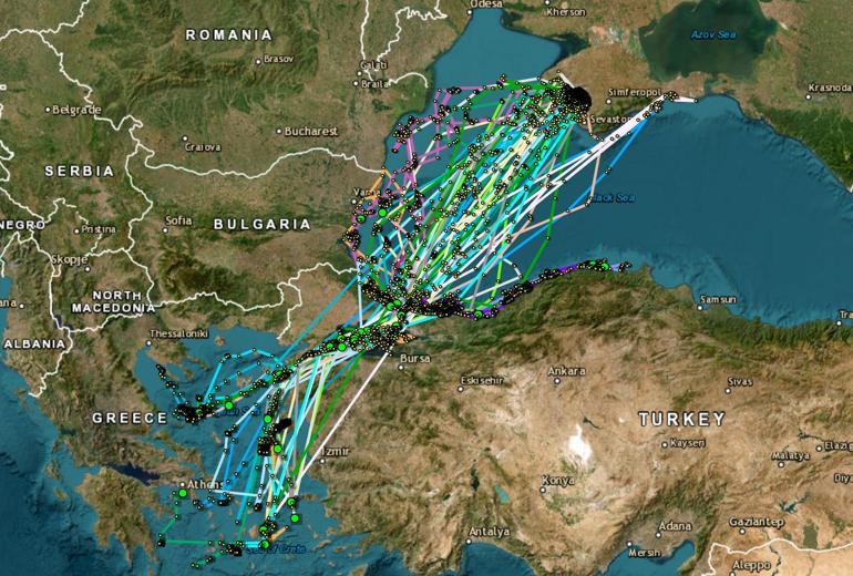 İstanbul Boğazı'nda nesli tükenen yelkovan kuşlarına uydu vericili takip