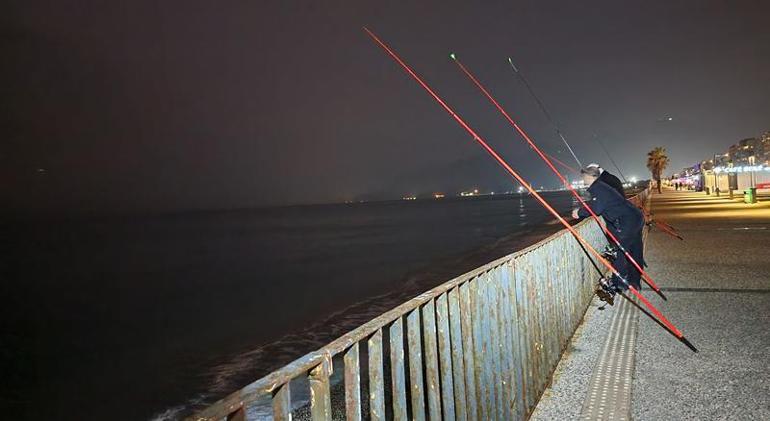 Balık popülasyonunun düştüğü Konyaaltı sahiline resif önerisi