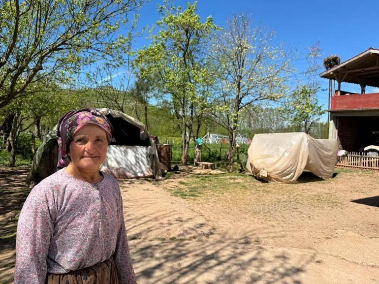 Ayşe leylek, bu yıl eşiyle geldi