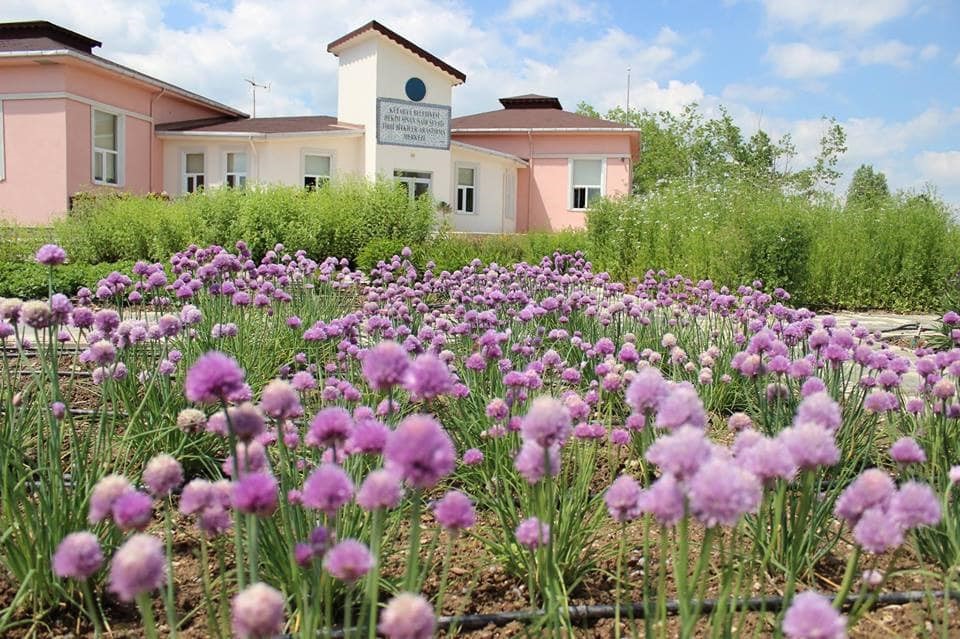 Başkan Eyüp Kahveci Tıbbi ve Aromatik Bitki Merkezini inceledi