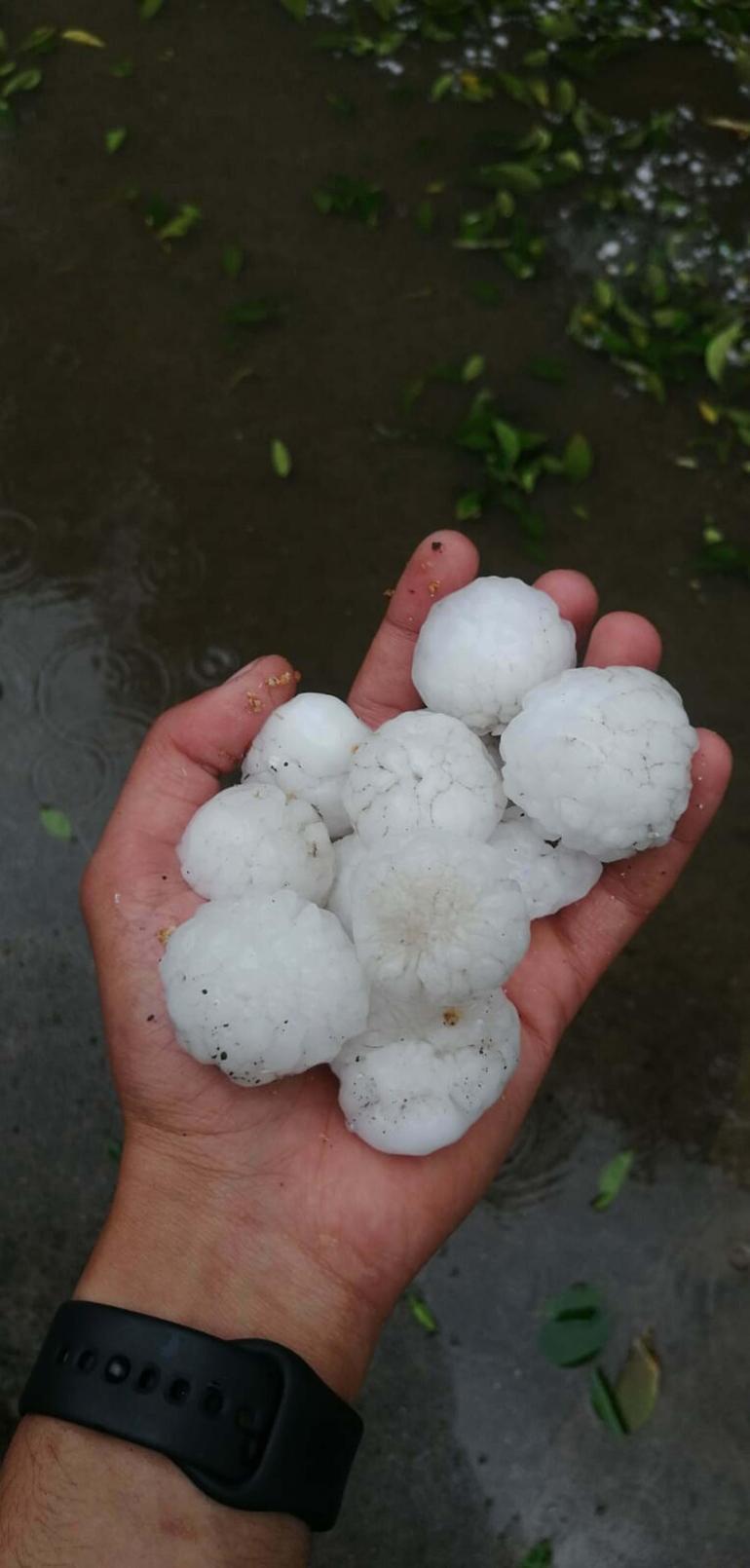 Manisa'da dolu yağışı; tarım arazileri zarar gördü