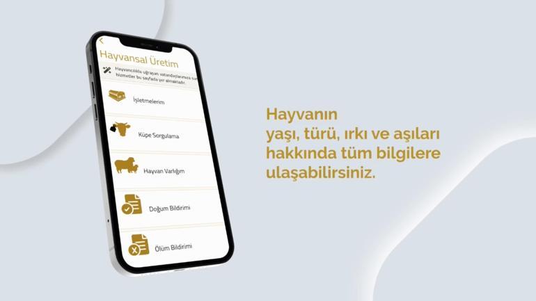 Kurbanlık bilgileri, 'Tarım Cebimde' uygulaması ile sorgulanabilecek