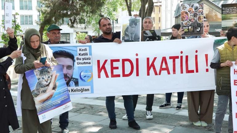 Beyazıt Meydanı'nda hayvanseverlerden kedi ölümlerine protesto