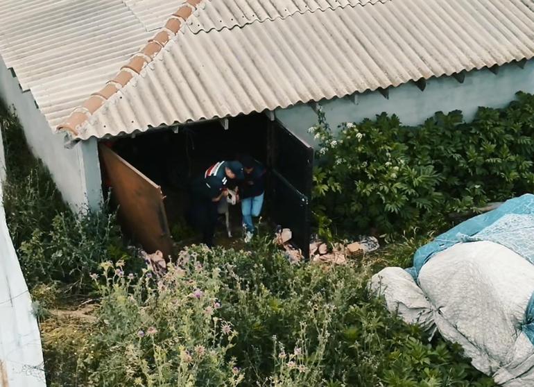 Tekirdağ’da 11 küçükbaş çalan 5 şüpheli, yakalandı