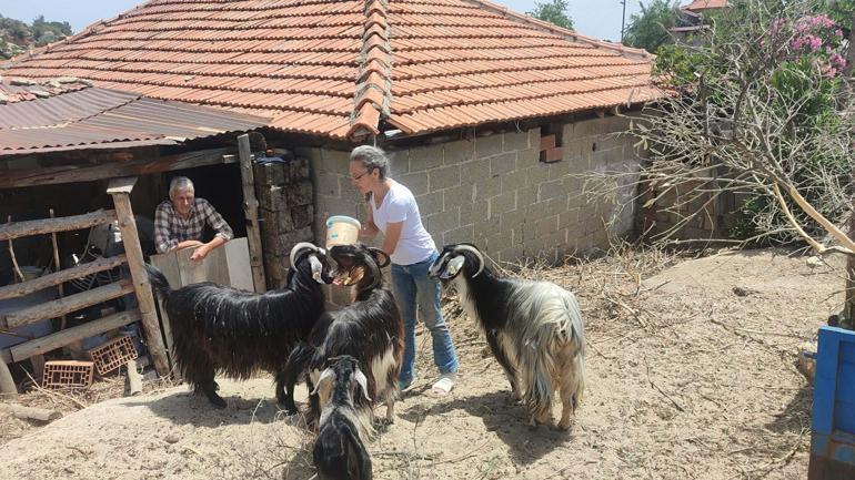 Tilki öldürdüğünü ihbar eden komşuya darp iddiası