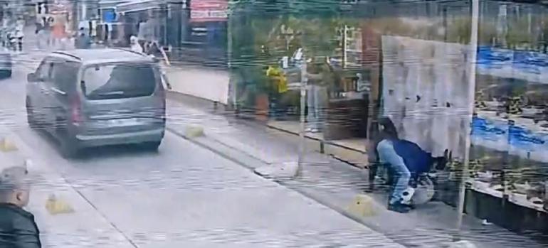 Kadıköy'de Pitbull dehşeti; kediye saldırdığı anlar kamerada