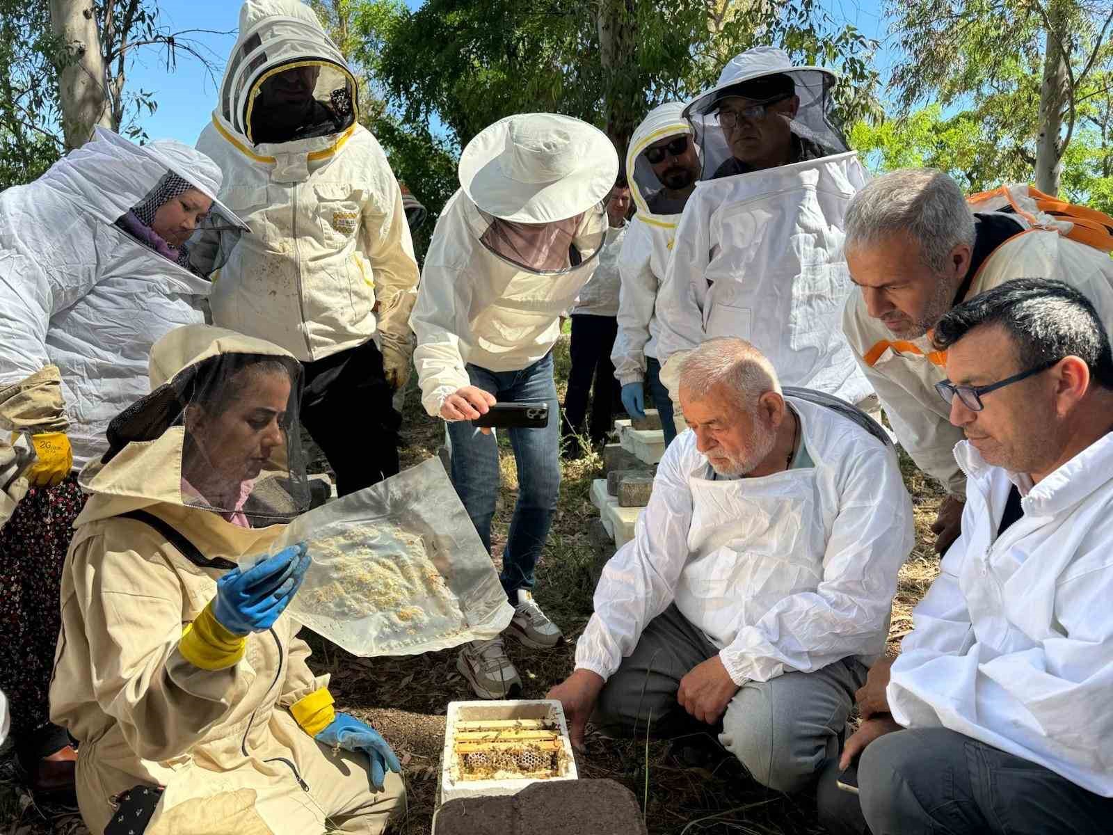 Kütahya’da ana arı ve arı sütü üretimi kursu