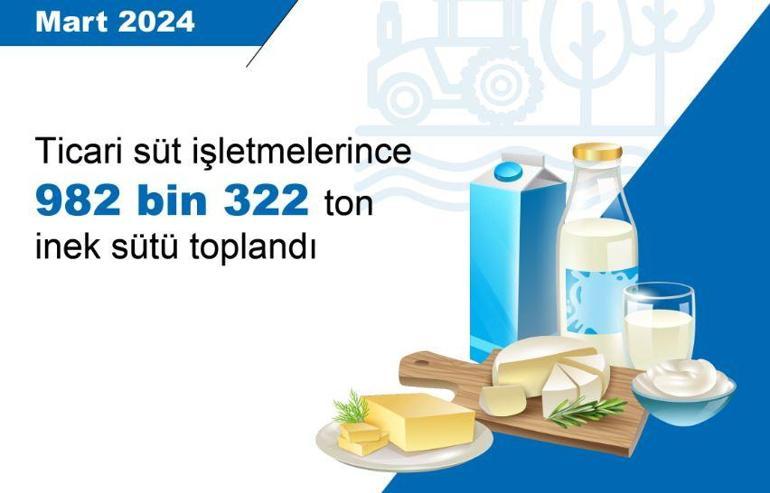 TÜİK: Tavuk eti, yumurta ve içme sütü üretimi arttı