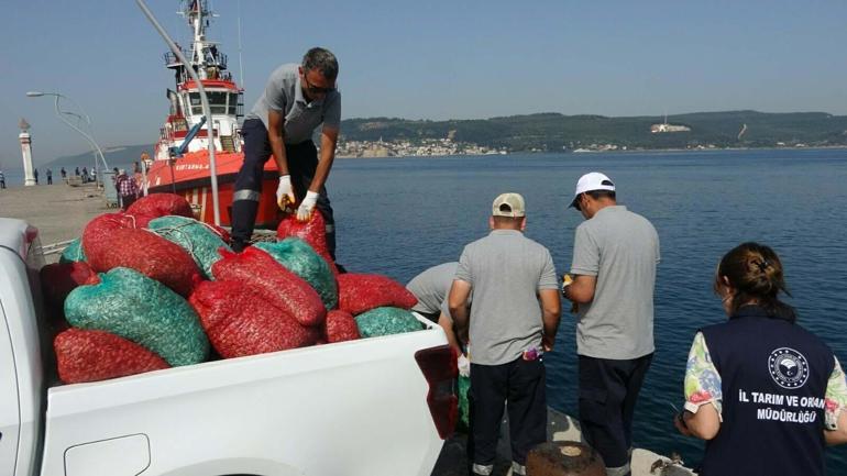 Çanakkale'de kaçak yolla avlanan 3 ton kum şırlanı ele geçirildi