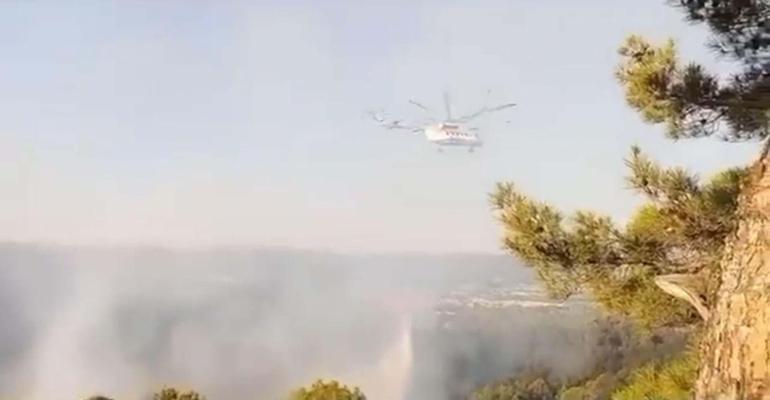 Uşak'taki orman yangınına havadan müdahale başladı